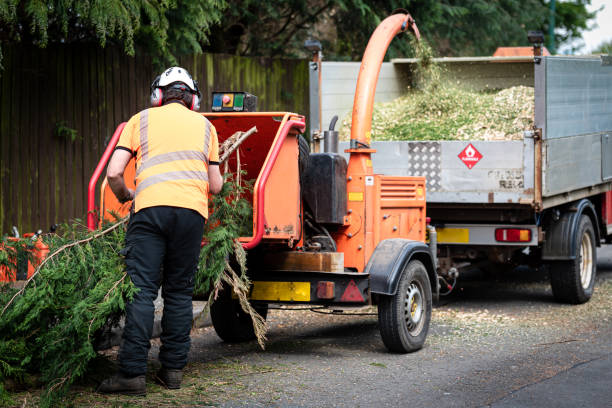 Perryville, MO Tree Service Company